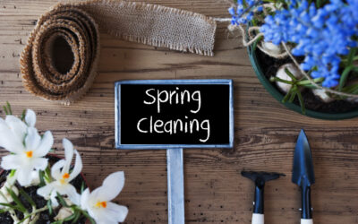 Get your Spring Cleaning Done in Half the Time