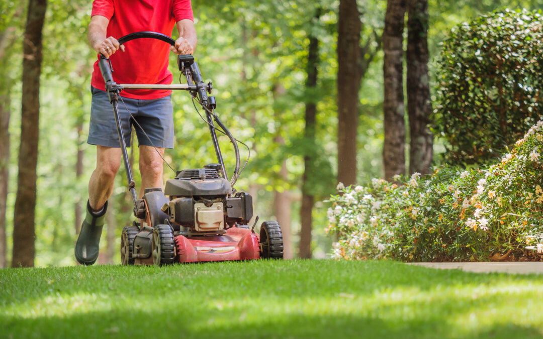 DIY Tips for Making Lawncare Easier